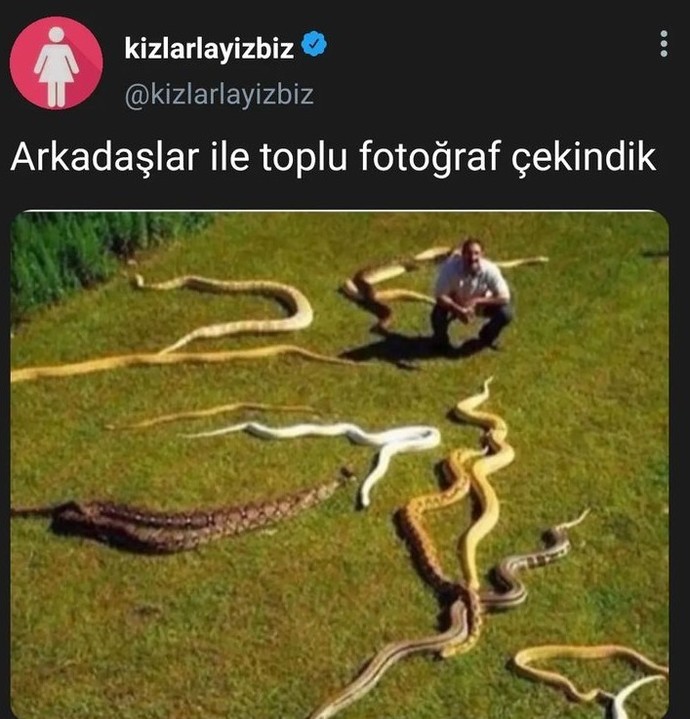 Arkadaşlarınızın sahte olduğunu bile bile hala arkadaşlık yapar mısınız?
