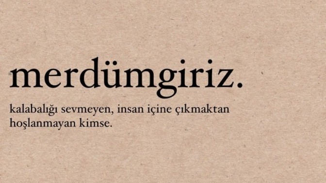 Merdümgiriz misiniz?