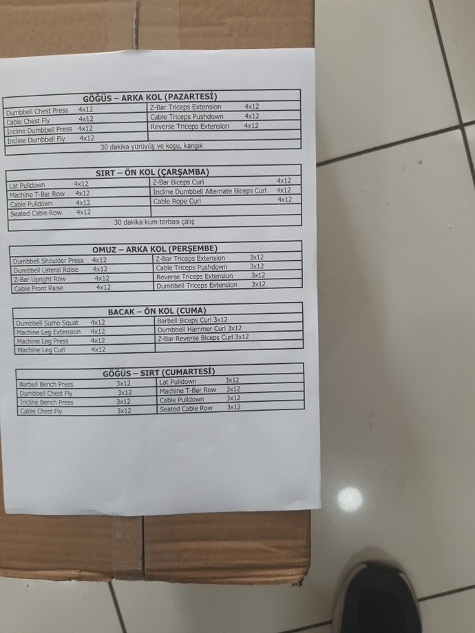 5 günlük vücut geliştirme programı önerirmisiniz?