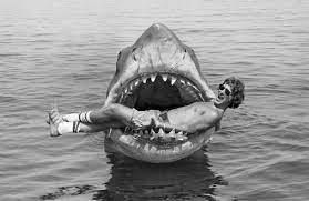 Merhaba Nasılsınız, ben Jaws.