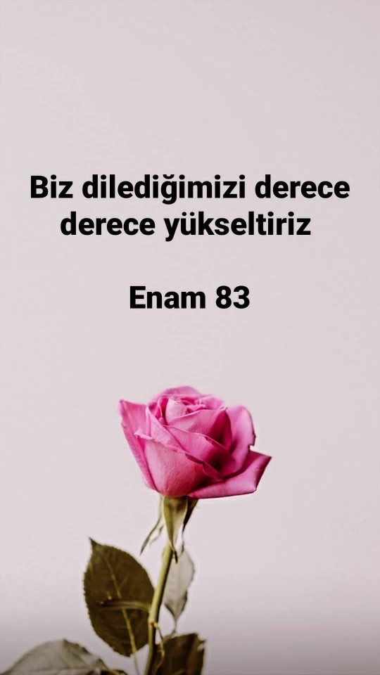 Dereceniz yükseldi mi yoksa alçaldı mı?