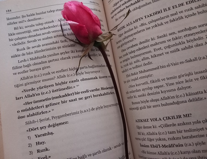 Kitap arasında gül kuruttun mu hiç?