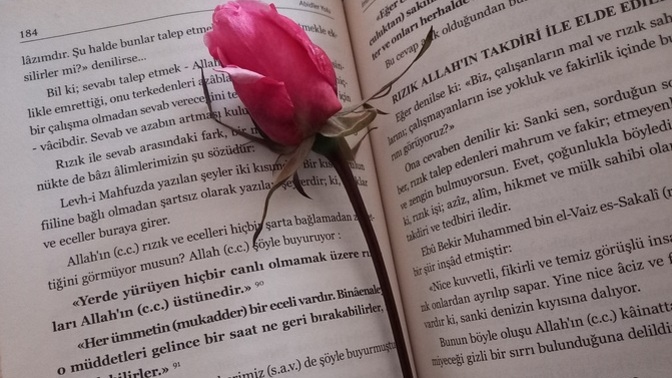 Kitap arasında gül kuruttun mu hiç?