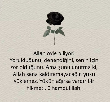 Bir gül seçin, anlamını yazacağım?