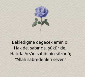 Bir gül seçin, anlamını yazacağım?