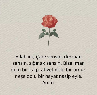 Bir gül seçin, anlamını yazacağım?