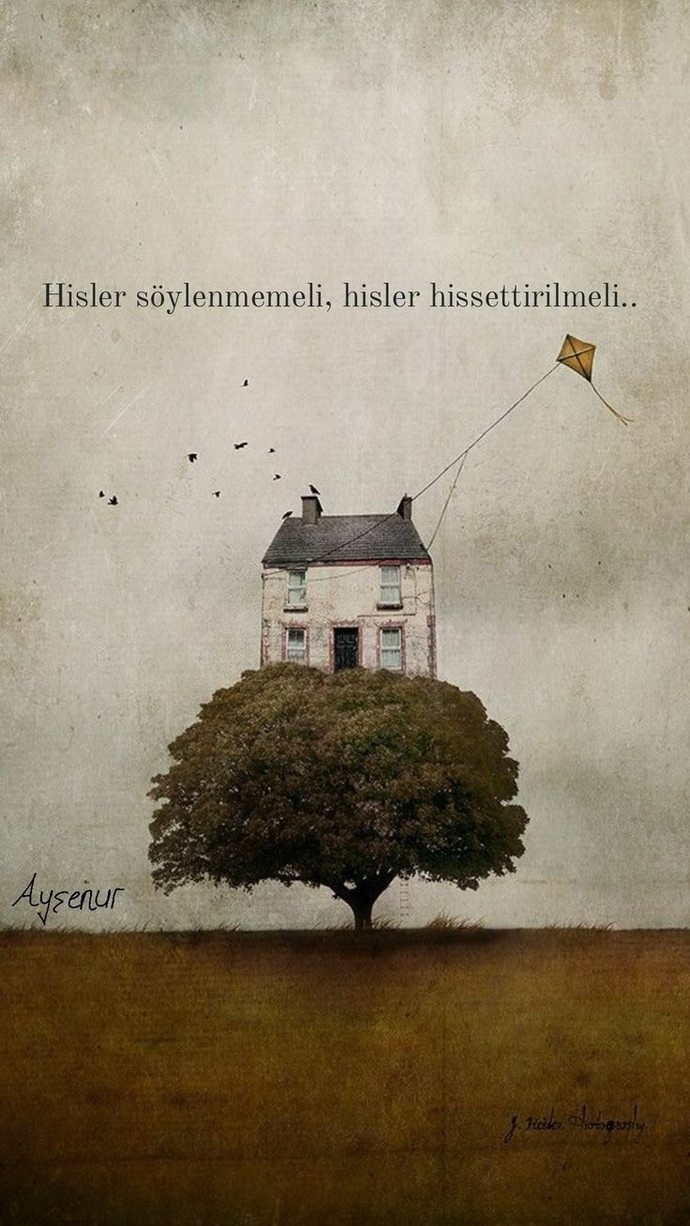 Artik hisler sadece dilin esiri..
