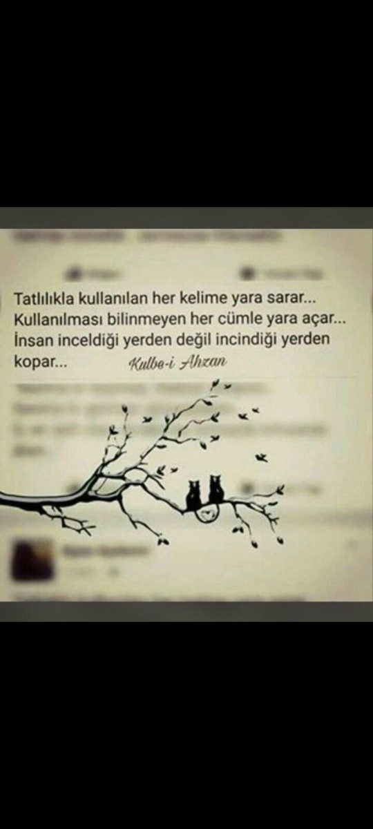 En çok hangisini yaparsınız?