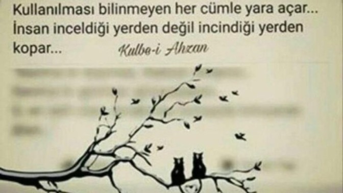 En çok hangisini yaparsınız?
