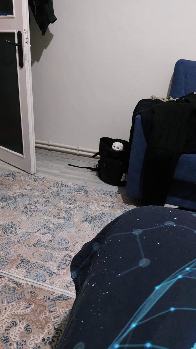 Çantamın içinden böyle bir şey çıktı. Ne olabilir?