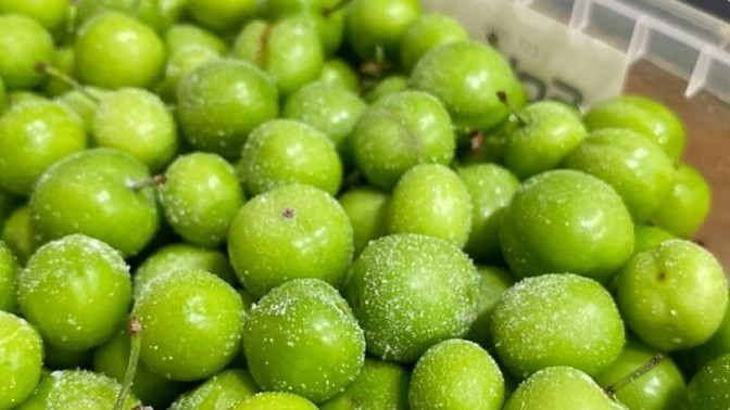 Yeşil erik tuzlu mu, tuzsuz mu yenir?