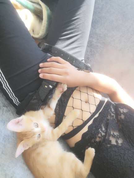Erkek kedim, sürekli göğüslerin üzerine yatıyor. Neden olabilir?