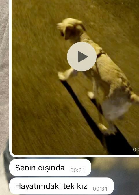 Aldatmayan erkek yoktur bu bir gerçek biliyor musunuz?