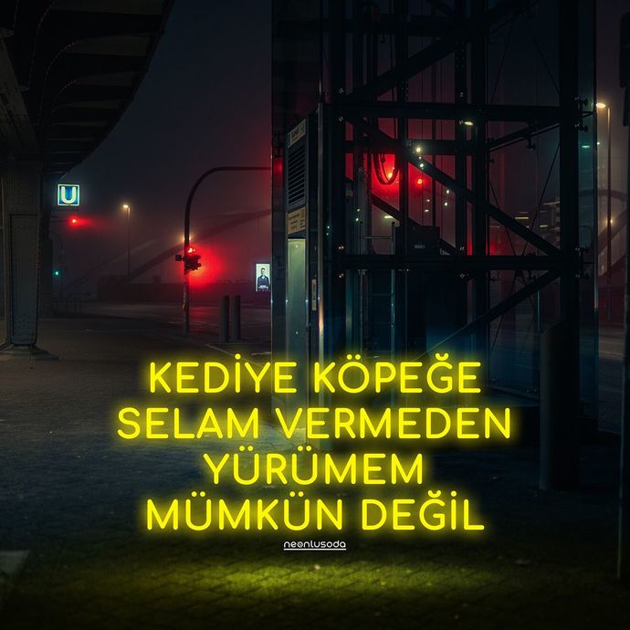 Dışarıda gördüğünüz kedi ve köpeklere selam verir misiniz?