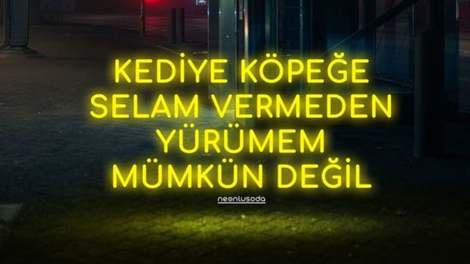 Dışarıda gördüğünüz kedi ve köpeklere selam verir misiniz?