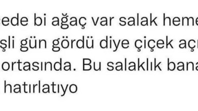 Size kimi hatırlattı bu?