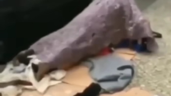 Sokakta sizce seks olur mu? Sokakta yapılan sekse bir isim vermeniz istenseydi bu isim ne olurdu?
