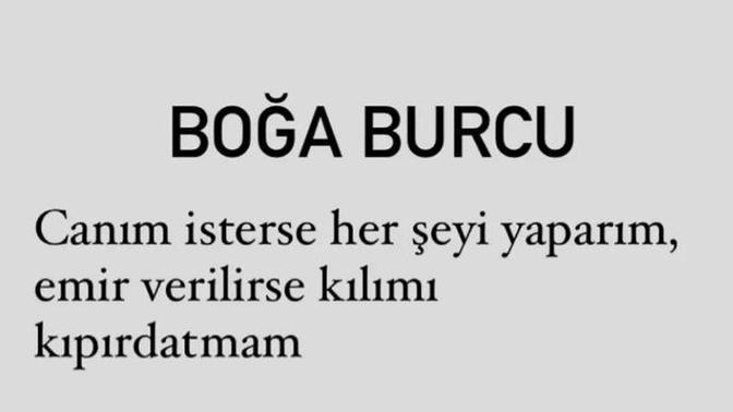 Boğa burçları hep mi böyle olur?