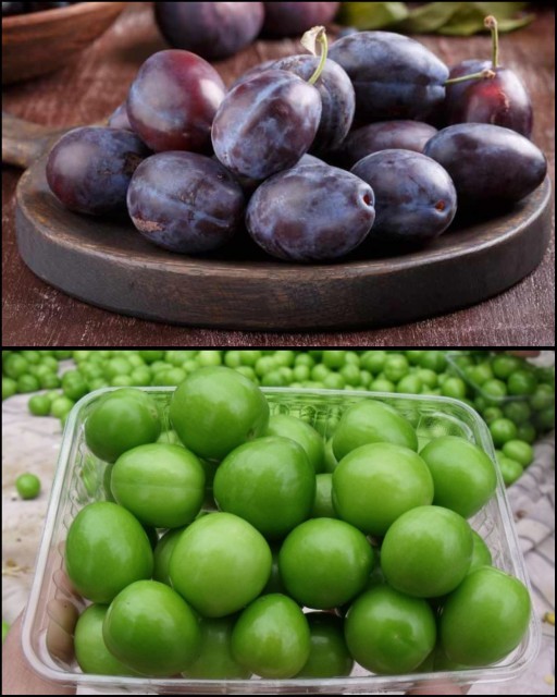 Hangi tür erik seversiniz ve en son ne zaman erik yediniz?