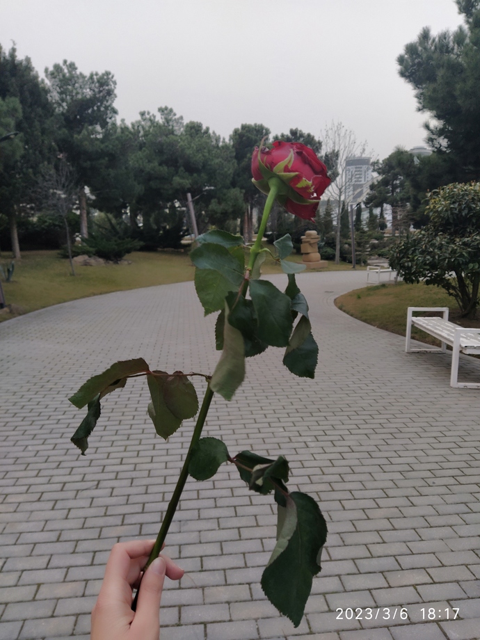 Şu an mutlu musunuz?