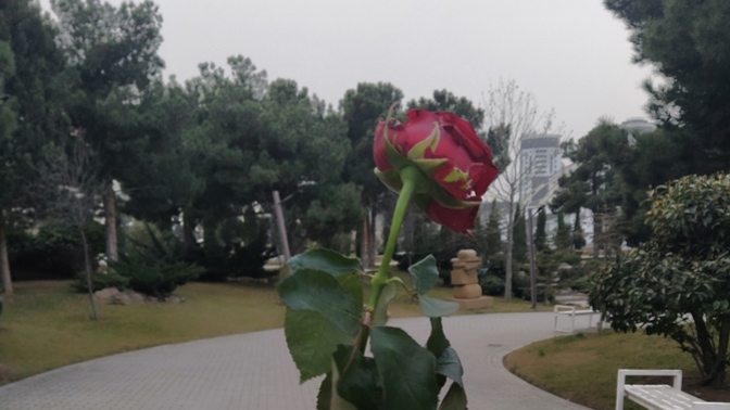 Şu an mutlu musunuz?