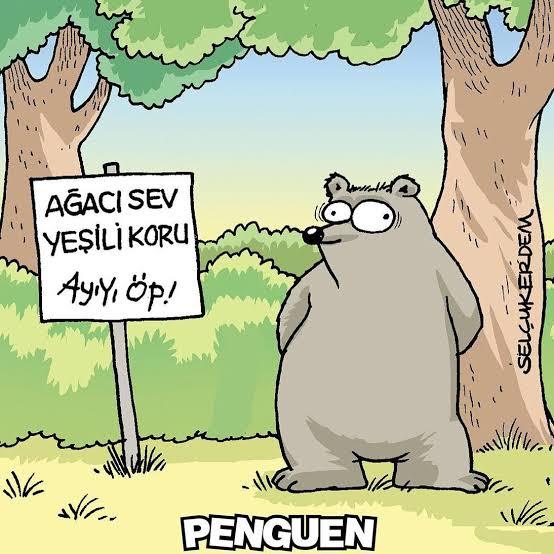 Odamı yeşile boyattım. Rengi nasıl olmuş?