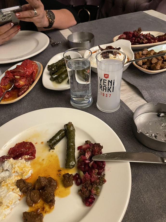 Hiç sevmiyorum şu rakıyı ama içerim
