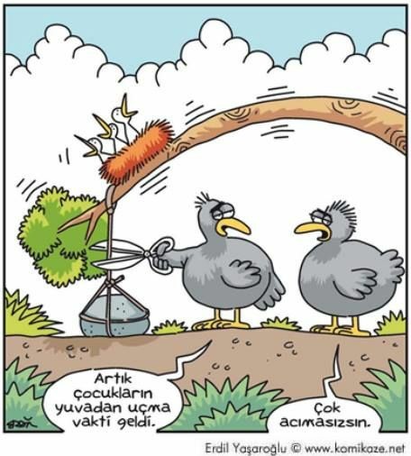 🐦⚰