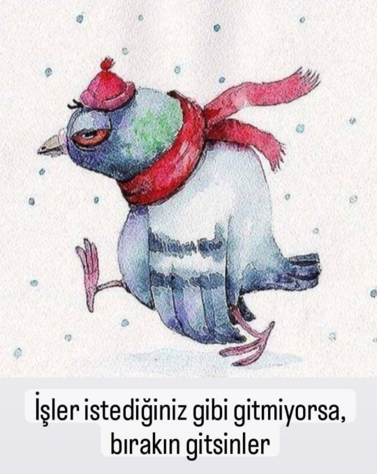 Bu seçimde kimi destekliyorsunuz?