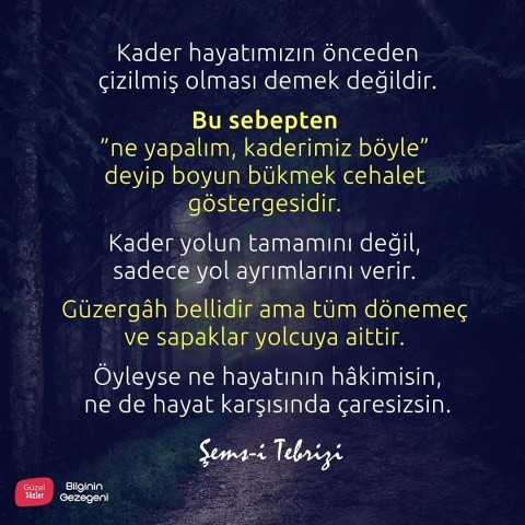 Şansa inanır mısınız? Şans mı, kader mi, seçimlerimiz mi yaşamımızı etkiliyor?
