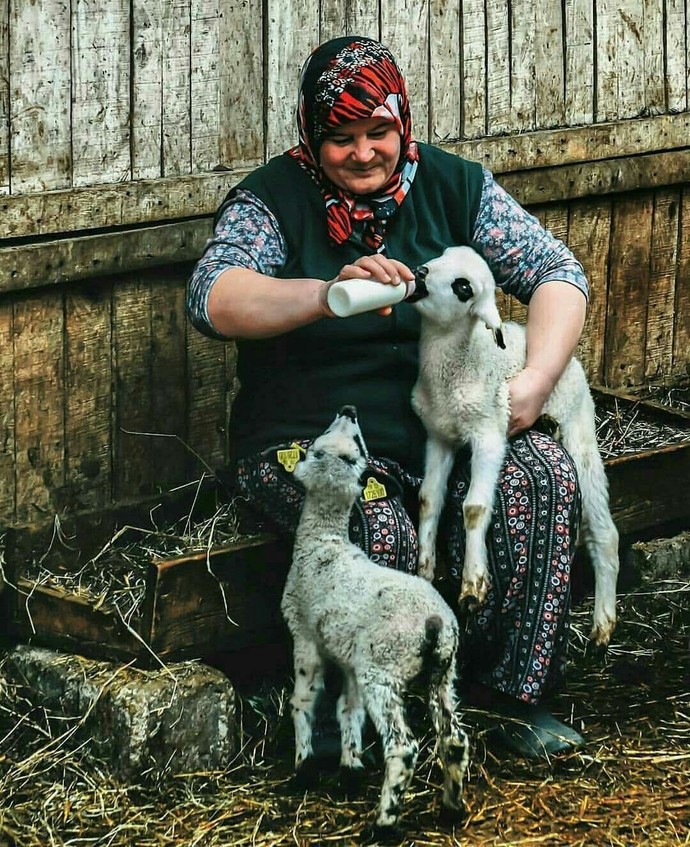 Sitemizdeki tüm kadınların kadınlar günü kutlu olsun...