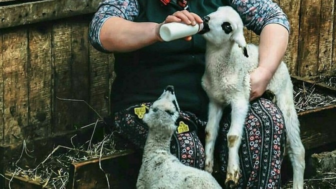 8 Mart  Dünya kadınlar gününde kadınlara yeteri kadar değer veriliyor mu?