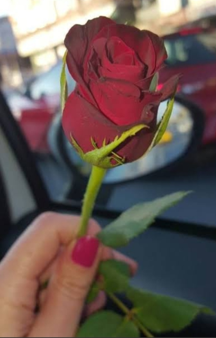 Elinde en çok tutmayı sevdiğin şey nedir?