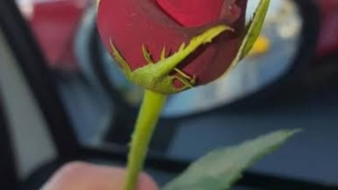 Elinde en çok tutmayı sevdiğin şey nedir?