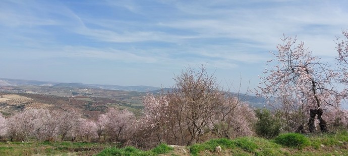 Erkeği adam olana her gün dünya kadınlar günüdür. Doğum günü dışında diğer günler anlamsızdır benim için, sizin düşünceniz nedir?