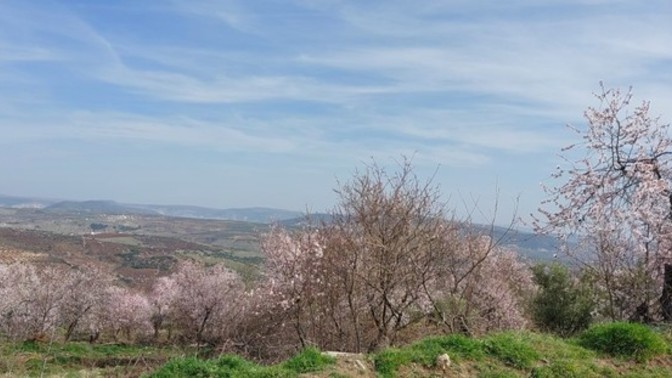 Erkeği adam olana her gün dünya kadınlar günüdür. Doğum günü dışında diğer günler anlamsızdır benim için, sizin düşünceniz nedir?
