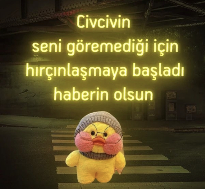 Çok tatlı değil mi yaaa 🐥😄