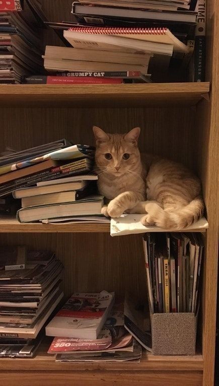Düşündüren kitaplar önerir misiniz?
