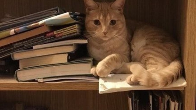 Düşündüren kitaplar önerir misiniz?
