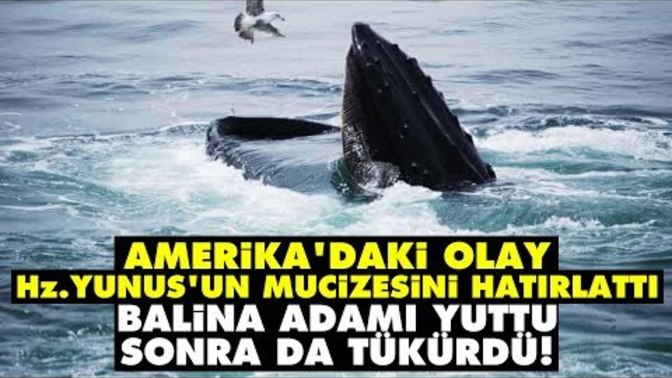 Balina insan yuttu... Böyle bir şey olabilir mi?