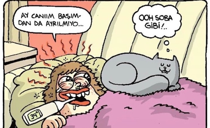 Kediniz olsun ister miydiniz?
