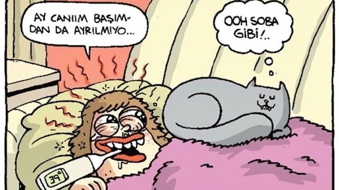 Kediniz olsun ister miydiniz?