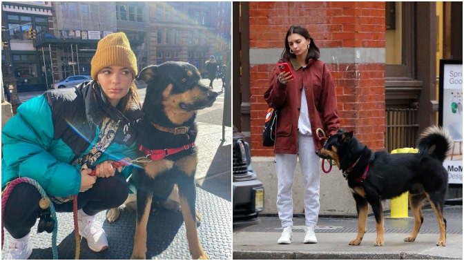Köpeğimi gezdirirken köpeğime bakıp gülümseyenlere karşı güler yüzlü olmalı mıyım?