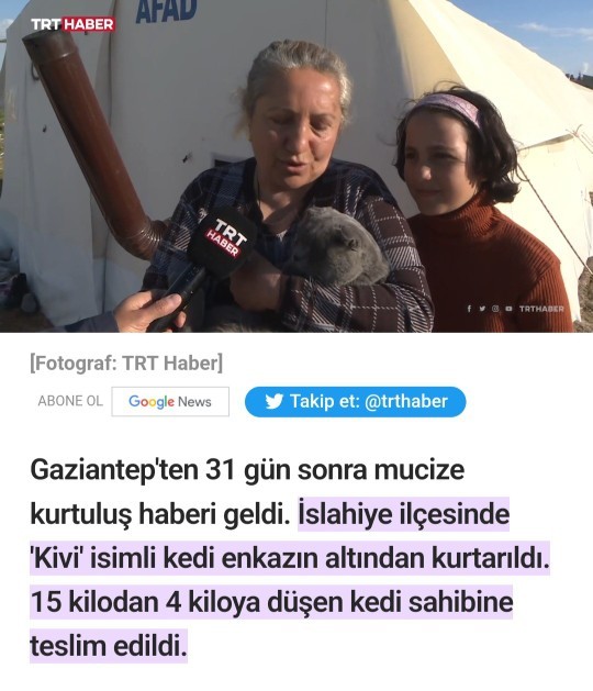 Peki nasıl dayandı bu hayvan 31 gün?