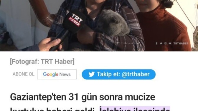 Peki nasıl dayandı bu hayvan 31 gün?