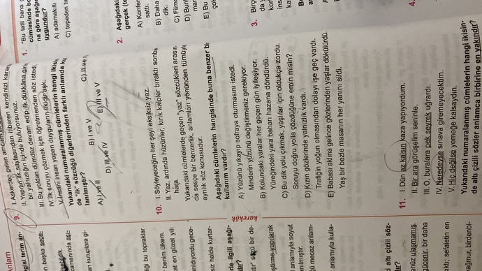 Ya bu sorular şaka mı?