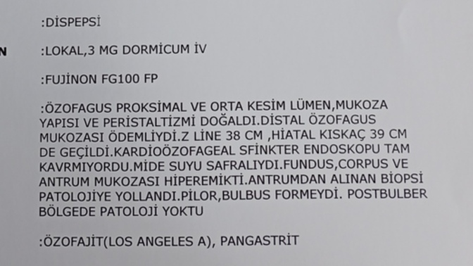 Endoskopi sonucu yorumu?