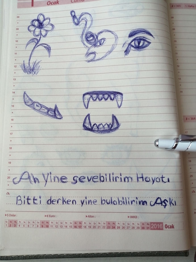 Sevmek zor zanaat mıdır?