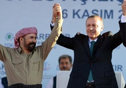Turkler delirdi mi?