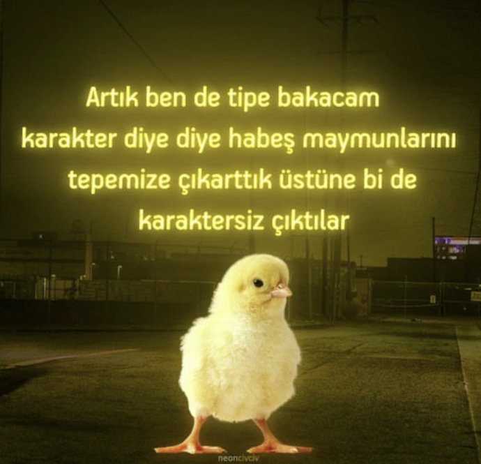 Senin için karakter mi yoksa fizik mi daha önemlidir?